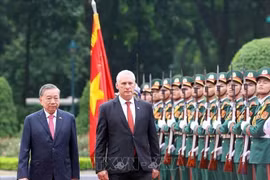  2025年9月1日在河内，越共中央总书记苏林举行隆重欢迎仪式，欢迎古共中央第一书记、古巴共和国主席米格尔·迪亚斯—卡内尔·贝穆德斯访问越南。图自越通社
