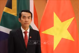 越南驻南非共和国大使黄士强。图自越通社