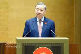 越共中央总书记、国家主席苏林。图自越通社