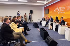 第十届东方经济论坛专题讨论会现场。图自越通社