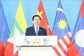越南政府副总理梅文政发言。图自越通社