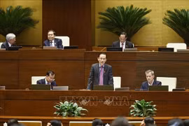 外交部长黎怀忠发言。图自越通社