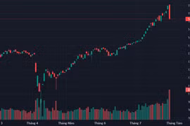 VN-Index蒸发64点，成交额创历史新高。图自互联网