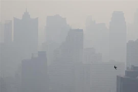 泰国首都曼谷日益严重的空气污染。图自越通社