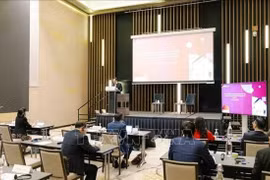 培训班现场。图自越通社