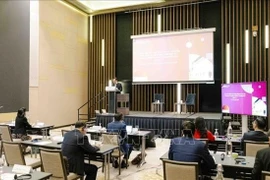 培训班现场。图自越通社