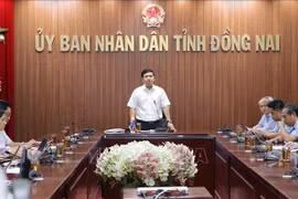 同奈省人民委员会副主席胡文河发言。图自越通社