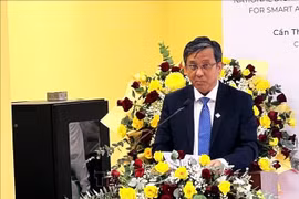 芹苴大学校长陈中性副教授发言。图自越通社