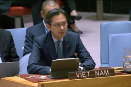 越南常驻联合国代表团团长杜雄越大使。图自越通社