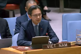 越南常驻联合国代表团团长杜雄越大使。图自越通社