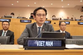 越南常驻联合国代表团团长杜雄越大使发言。图自越通社