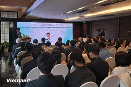 讨论会场景。图自Vietnam+
