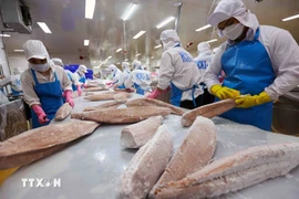 2025年8月，越南全国水产品出口额达11.2亿美元，增长13.8%。图自越通社