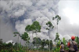 印尼塞梅鲁火山喷发。图自越通社