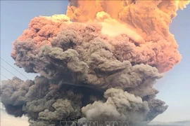 东努沙登加拉省勒沃托比火山发生喷发。图自越通社