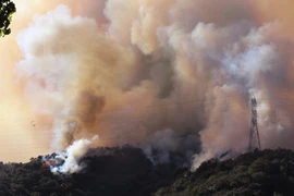 自1月7日美国加利福尼亚州洛杉矶多地连续突发山火