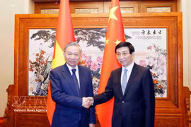 越共中央总书记、国家主席苏林会见中国全国政协主席王沪宁。图自越通社