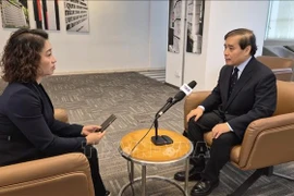 新加坡李光耀公共政策学院教授武明姜（右）接受采访。图自越通社