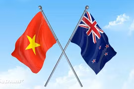 附图 图自Vietnam+