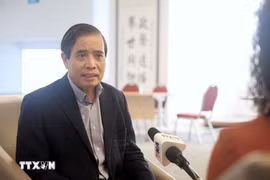 新加坡李光耀公共政策学院教授武明姜。图自越通社