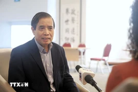 新加坡李光耀公共政策学院教授武明姜。图自越通社