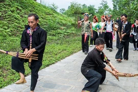 系列喜迎2025年春节文化艺术活动即将在越南各民族文化旅游村举行。图自越通社