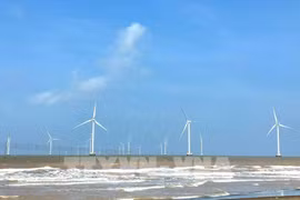 越南坚定构建可持续经济的决心。图自越通社