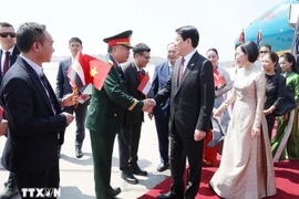越南国家主席梁强和夫人抵达埃及首都开罗国际机场。图自越通社