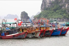 附图 图自越通社