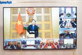 越南政府副总理陈红河发言。图自越通社