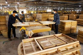 新西兰与越南加强木材出口合作。图自越通社
