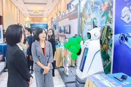2025年越南电子商务与数字技术应用论坛现场。图自越通社