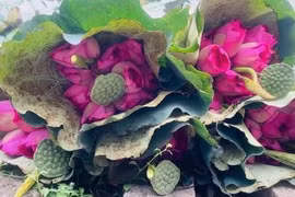 广安莲花茶窨制技艺：传承西湖荷香文化遗产 
