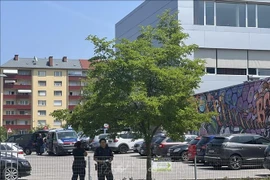 越南国家主席就奥地利枪击事件致慰问电。图自越通社