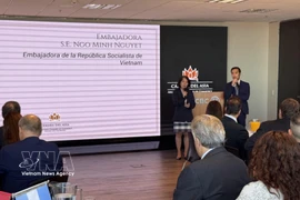 越南驻阿根廷大使吴明月在研讨会上发言。图自越通社