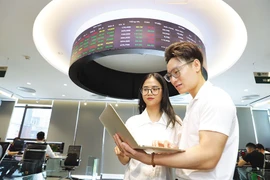 注入越南资本市场的催化剂。图自投资报