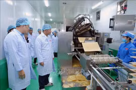 在老越侨企业日益巩固其在经济发展中的重要作用。图自越通社