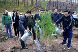 陈红河副总理参加“永远铭记胡伯伯之恩”新春植树节。图自越通社