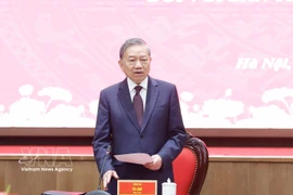 苏林总书记在会议上发言。图自越通社