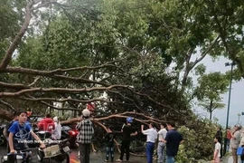 越南北部多地冰雹、龙卷风和雷暴集体爆发造成严重损失。图自越通社