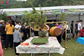 当地政府和农民推销农产品和水果。图自越南之声