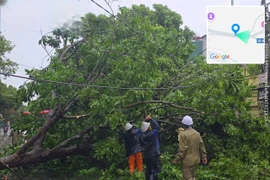 清化省部分地区遭受第三号台风的影响。图自越通社