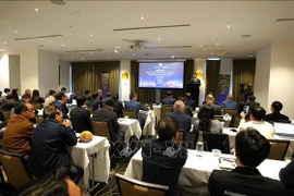 论坛现场。图自越通社