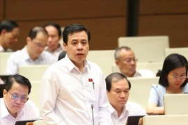 胡志明市国会代表陈英俊。图自越通社