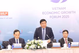 越南政府副总理阮志勇发言。图自越通社
