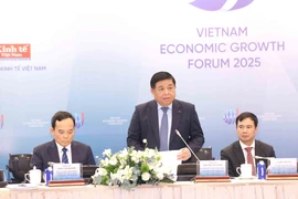 越南政府副总理阮志勇发言。图自越通社