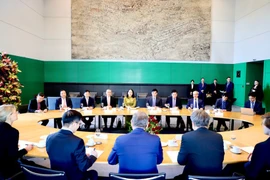 越南国家副主席武氏映春与德国联邦议会副议长博多·拉梅洛举行会谈。图自越通社