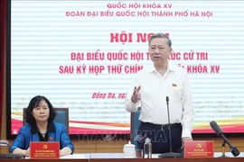 苏林总书记发言。图自越通社
