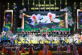 2026年羊蹄甲花节开幕式现场。图自越通社