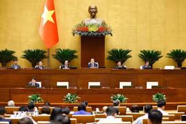会议现场。图自越通社